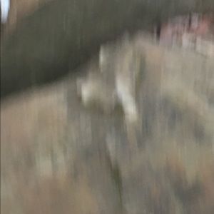 Meet your Posher, Whitney